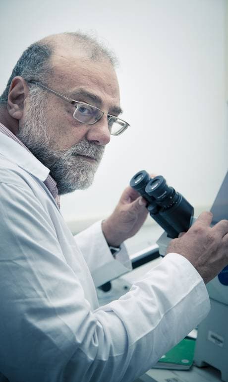 Computador de cientista é furtado no Rio com pesquisa inédita contra zika