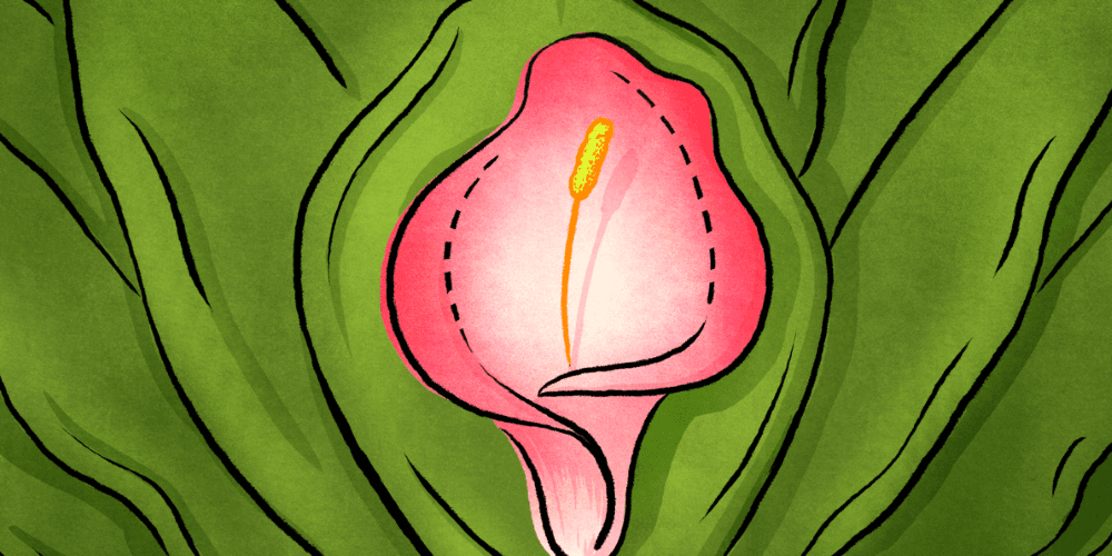 Conheça a labioplastia, a cirurgia estética genital que está cada vez mais popular entre as adolescentes