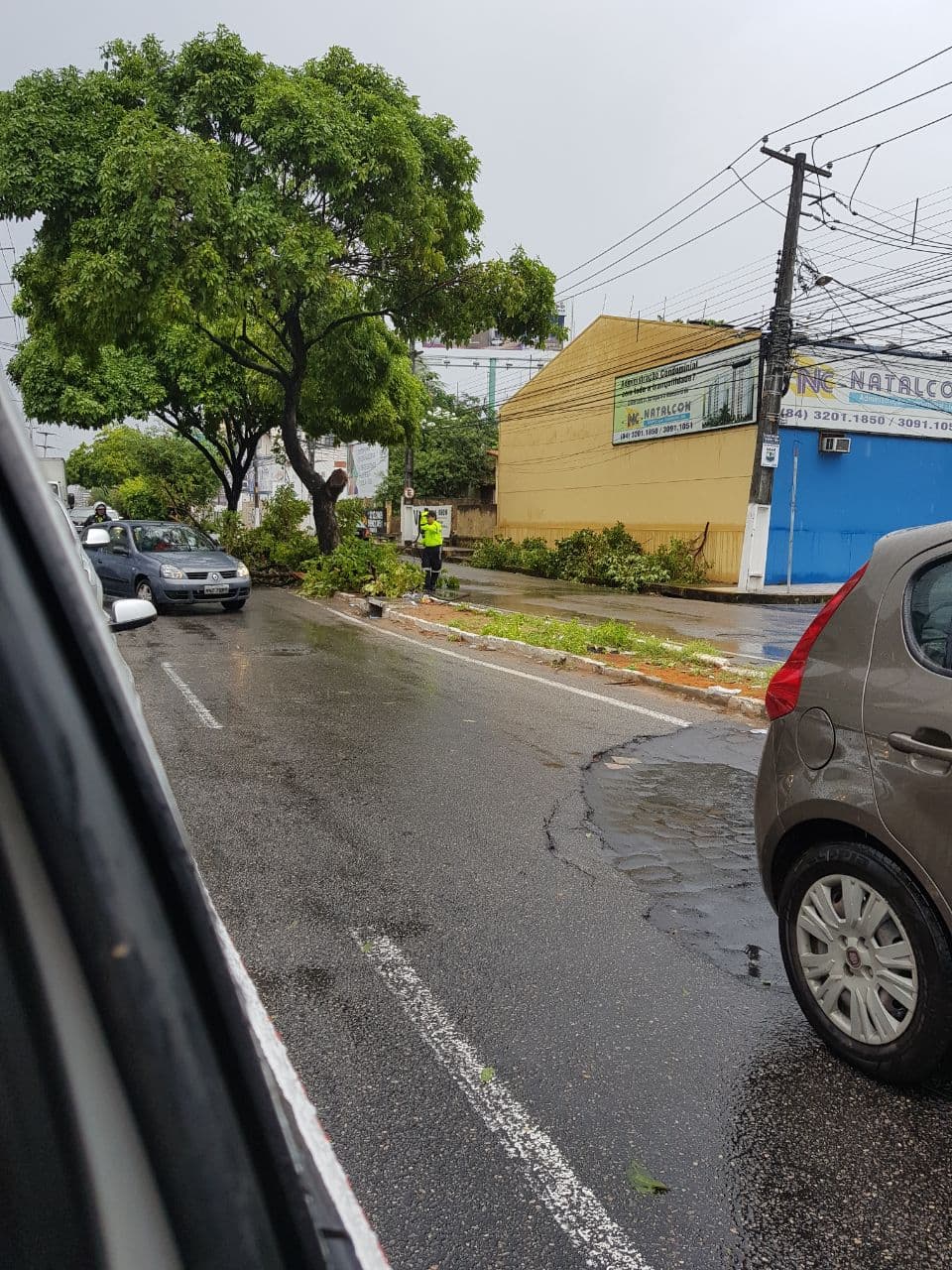 FOTO: Árvore tomba na Romualdo Galvão, próximo ao Midway