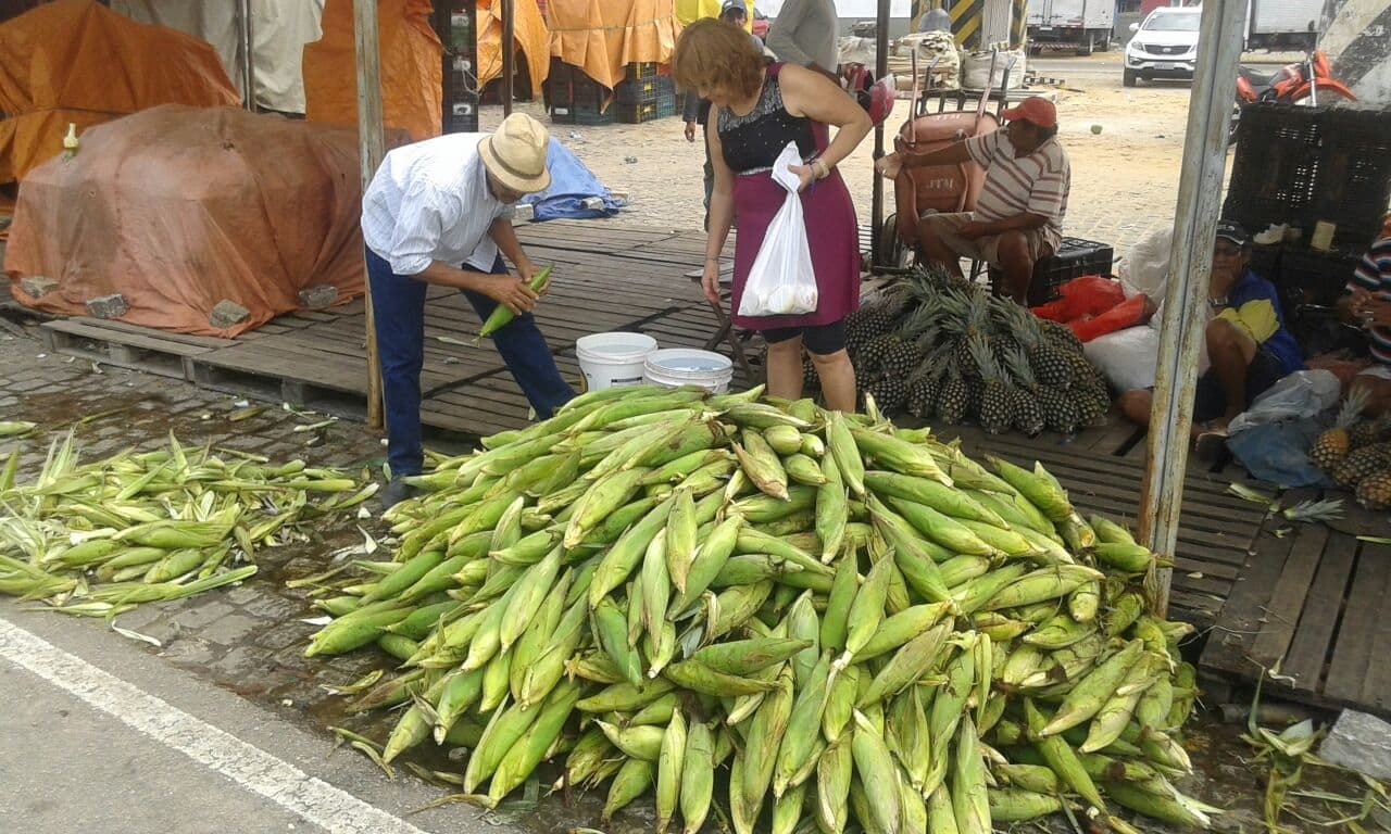 Tradicional Feira do Milho em Natal começou na Central da Agricultura Familiar; veja funcionamento