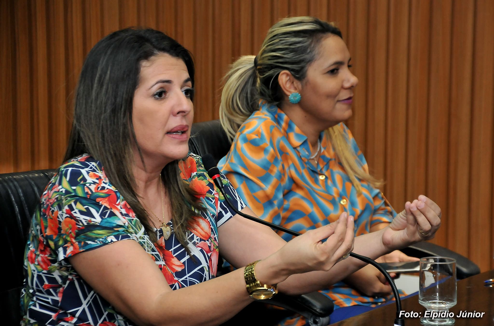 Vereadores questionam ação do prefeito Carlos Eduardo contra Patrulha Maria da Penha