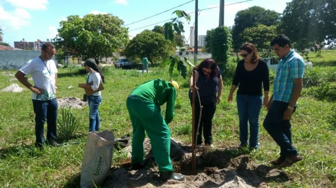 FOTO: Novas mudas de árvores nativas são plantadas em uma área verde de Capim Macio