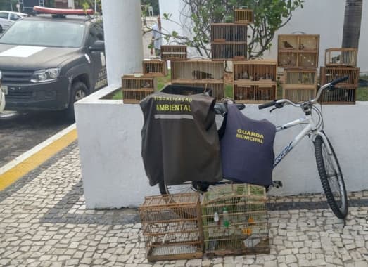 FOTO: Operação Asas da Liberdade resgata aves silvestres na feira livre do Carrasco