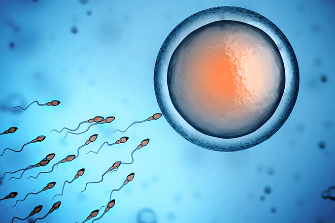 Redução da fertilidade dos homens pode causar fim da humanidade