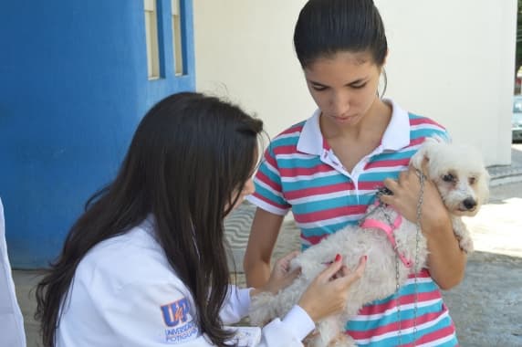 Natal realiza “Dia D” da vacina antirrábica em 7 de outubro