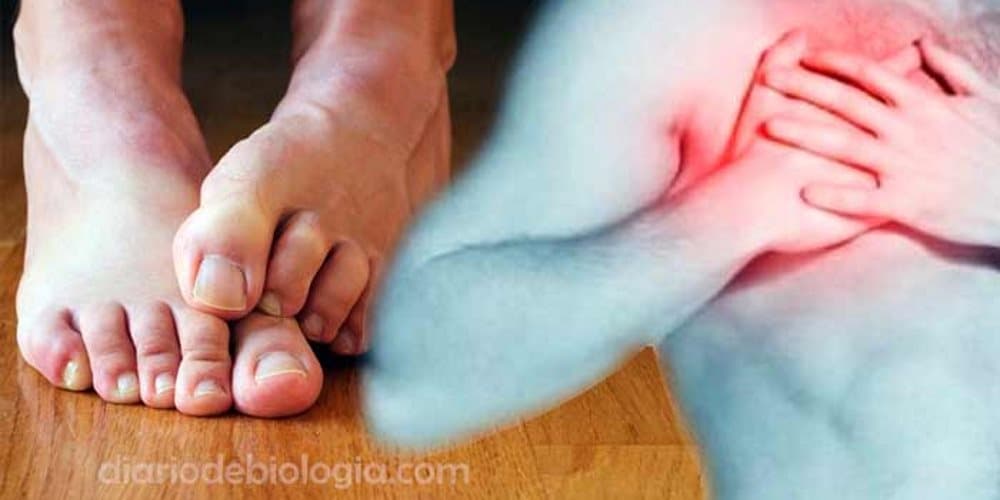 Cardiologistas alertam: sentir frio nos pés e mãos o tempo todo poder indicar problemas no coração