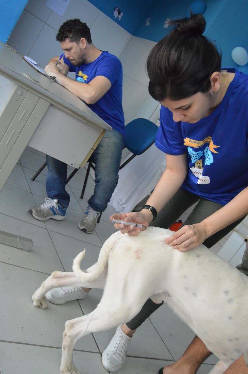 ATÉ 3 DE NOVEMBRO: Secretaria de Saúde em Natal ressalta importância da vacinação antirrábica em cachorros e gatos; veja postos