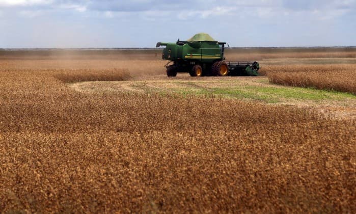 Consumo excessivo de carne está devastando o planeta, diz relatório