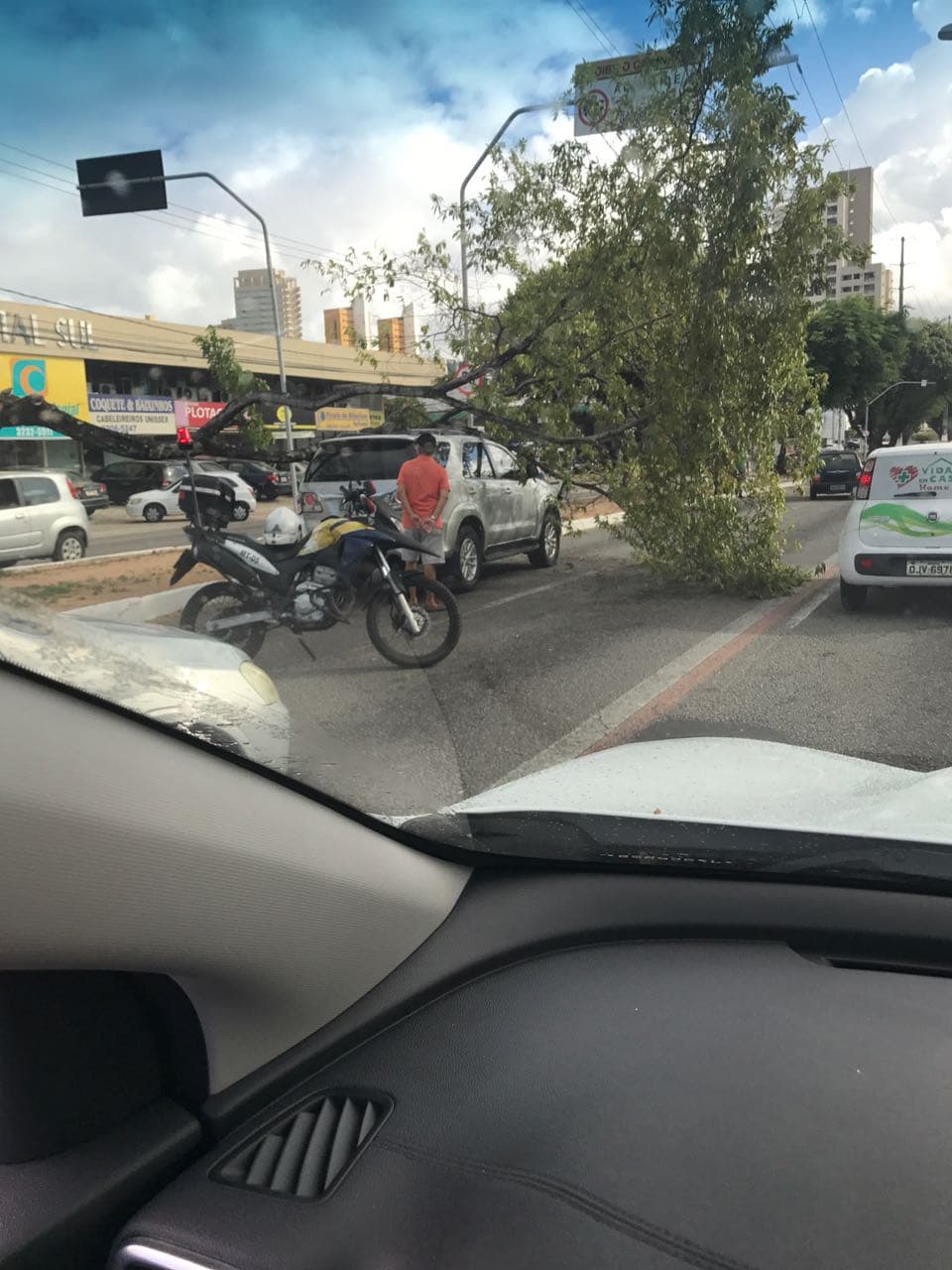 FOTOS: Árvore cai em carro na Prudente de Morais
