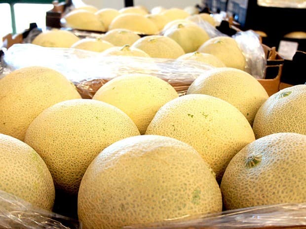 Cresce produção agrícola do RN e exportações bate novo recorde