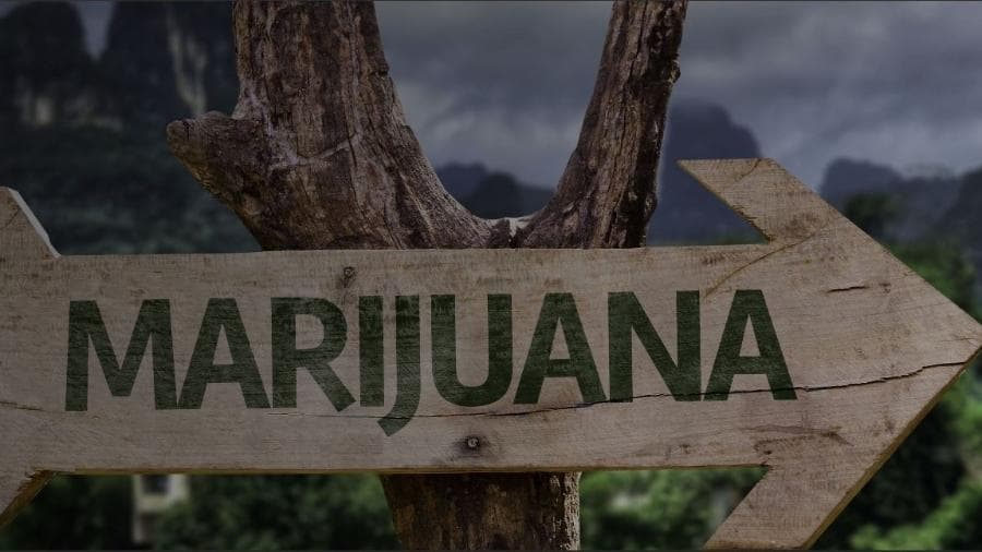 Viagem dupla: um site brasileiro funciona como o "Airbnb" da maconha