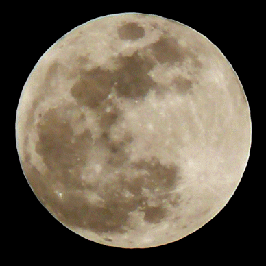 31 de janeiro terá Superlua, Lua Azul e Lua de Sangue na mesma noite