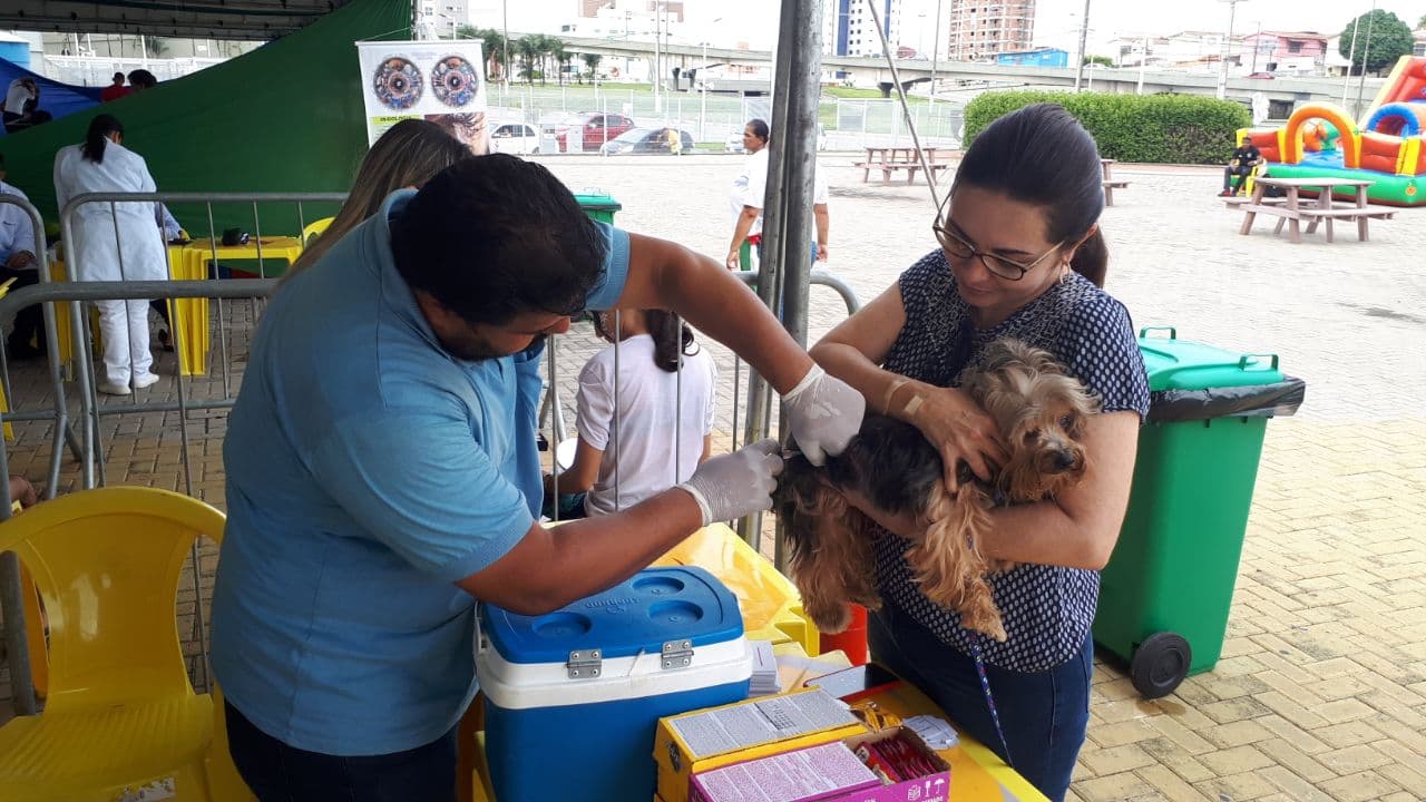 Centro de Controle de Zoonoses proporciona vacinação antirrábica em ação na Arena da Dunas
