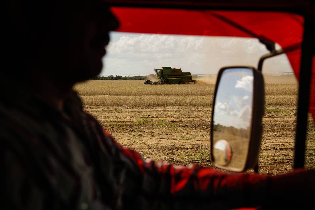 Agropecuária tem melhor ano desde 1996, diz IBGE