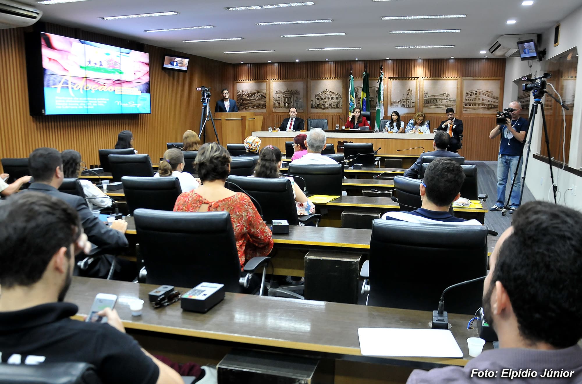 Câmara Municipal promove debate sobre situação da adoção de crianças