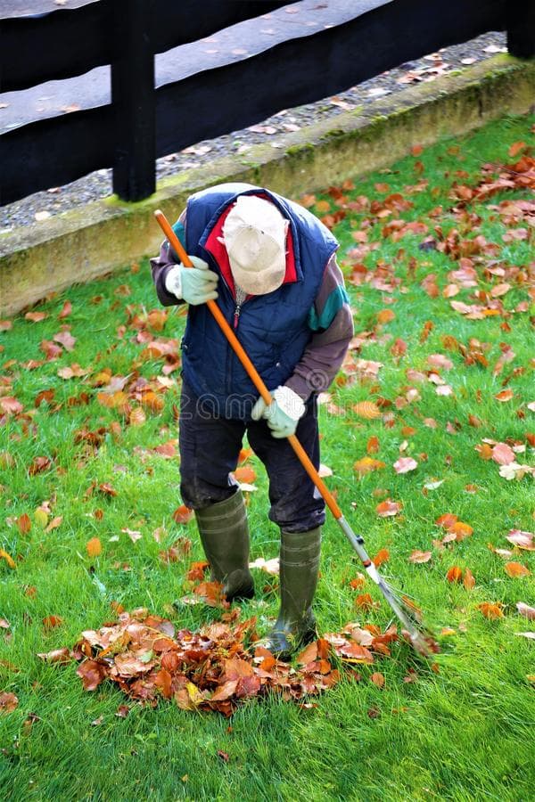 E O DEVIDO VALOR? Cada vez mais pessoas interfonam residências em Natal oferecendo serviços para jardinagem; fora do país é comum e muitos brasileiros fazem
