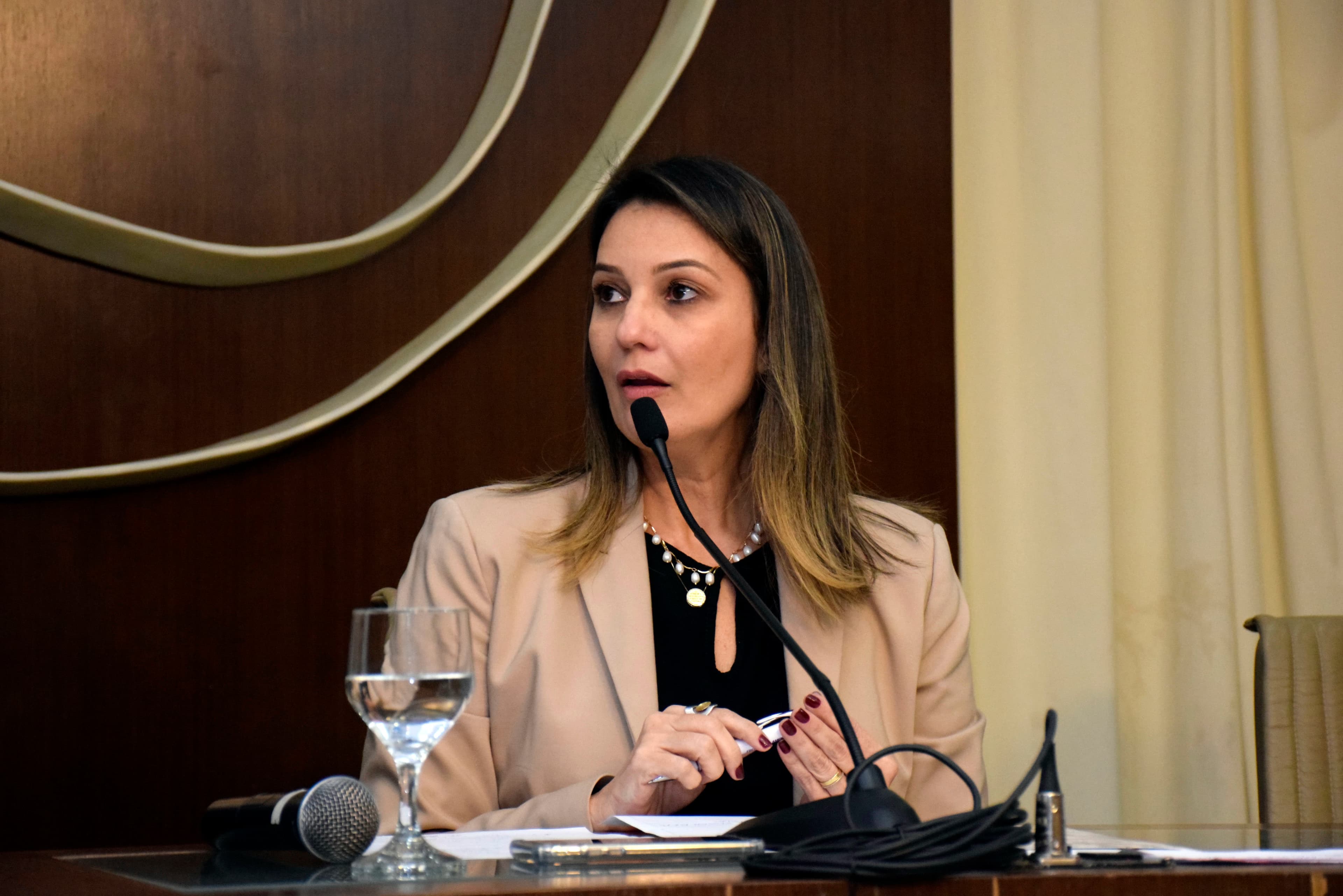 Interligação entre violência e saúde mental é tema de debate na Assembleia