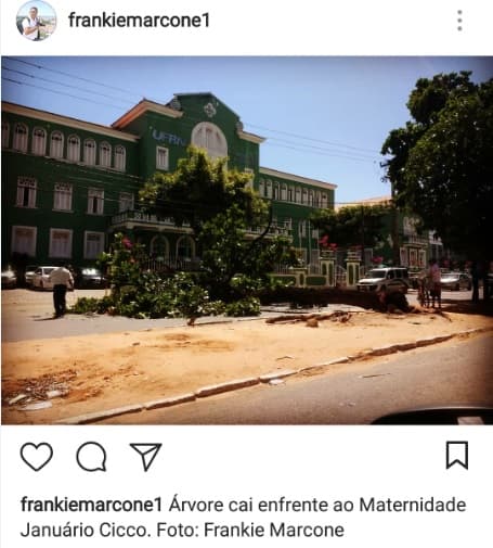 FOTO: Árvore cai em frente da Maternidade Januário Cicco