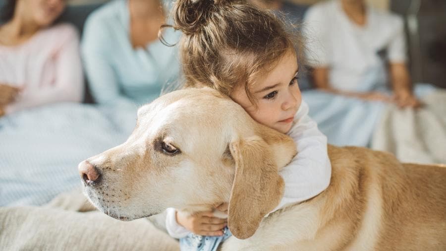 Cachorros correm para ajudar o dono em caso de choro, revela estudo