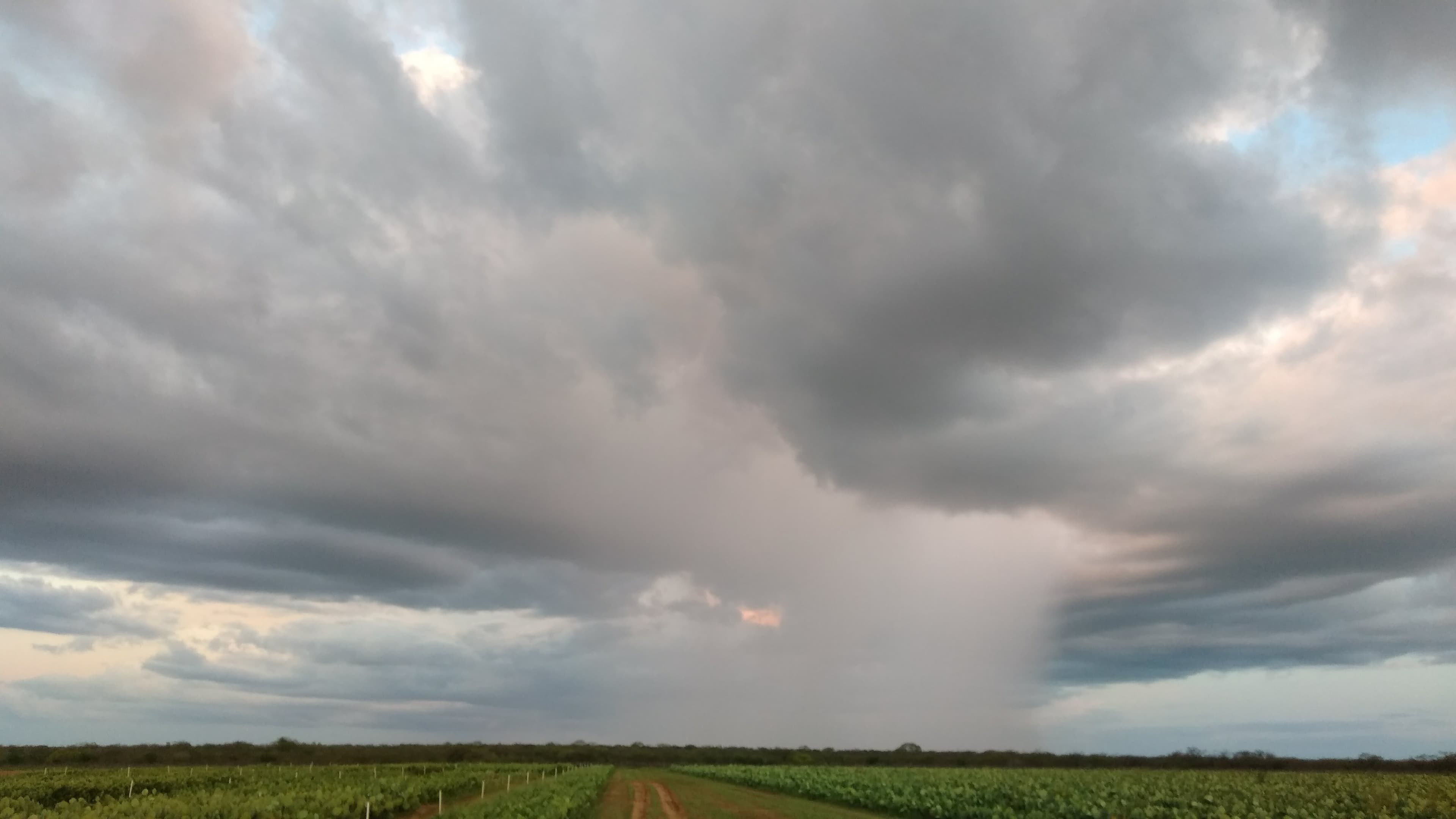 Volume de chuva registrado em 2018 é o melhor dos últimos 7 anos no RN