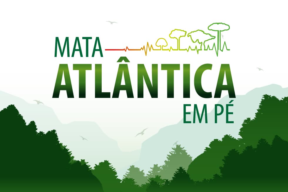 MPs de 15 estados fazem operação para combater desmates na Mata Atlântica; no RN, vistoriados cerca de 90 hectares em seis municípios