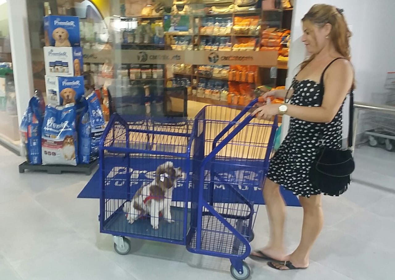 Com direito a carrinho para compras, Pet Friendly é uma das atrações do Armazém Pará