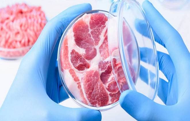 Empresa israelense cria o primeiro bife feito em laboratório no mundo