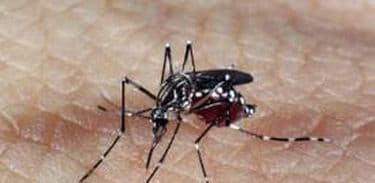 Estudo indica que zika pode provocar infertilidade em homens
