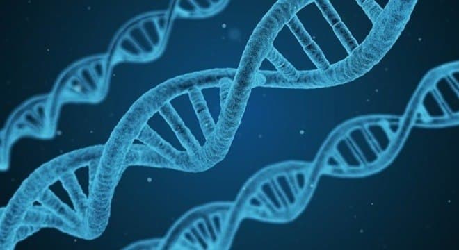 Todos os seres humanos descendem de um único casal, sugere estudo