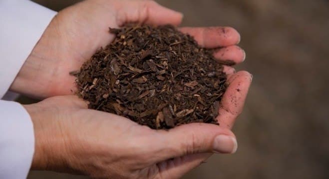 Washington- EUA aprova método para fazer adubo com corpos humanos