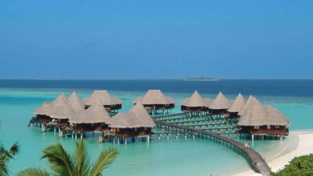 Resort nas Maldivas oferece duas semanas com tudo pago para você cuidar das tartarugas do local