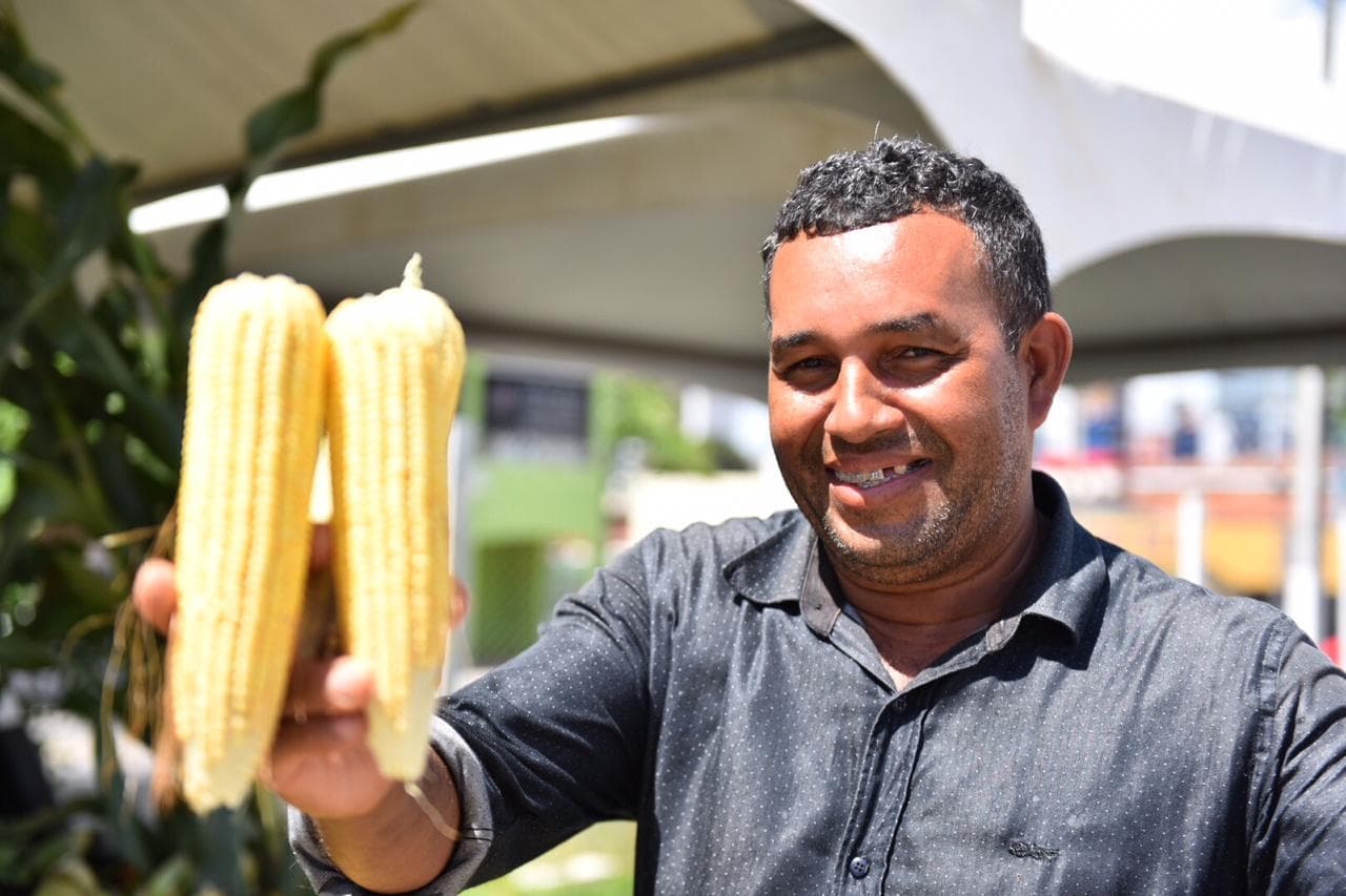 Feira do Milho em Natal: chuvas no RN alavancam produção e vendas ultrapassam 500 mil milheiros na Central da Agricultura