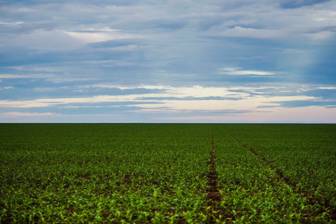 Anvisa aprova marco regulatório dos agrotóxicos; veja mudanças
