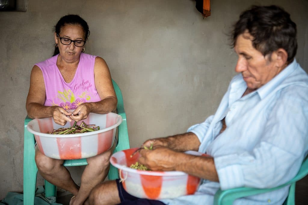 Cerca de 90 mil famílias de agricultores estão aptas a vender suas produções para o Estado