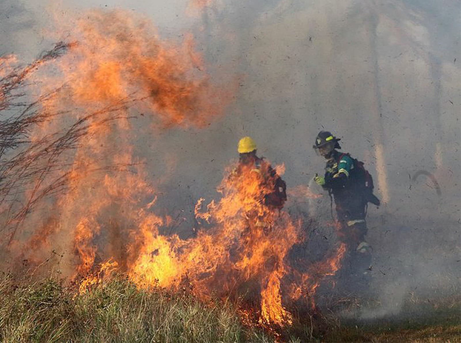 FOTO: Bolívia sofre com o maior incêndio de sua história recente, com 500 mil hectares de vegetação destruídos