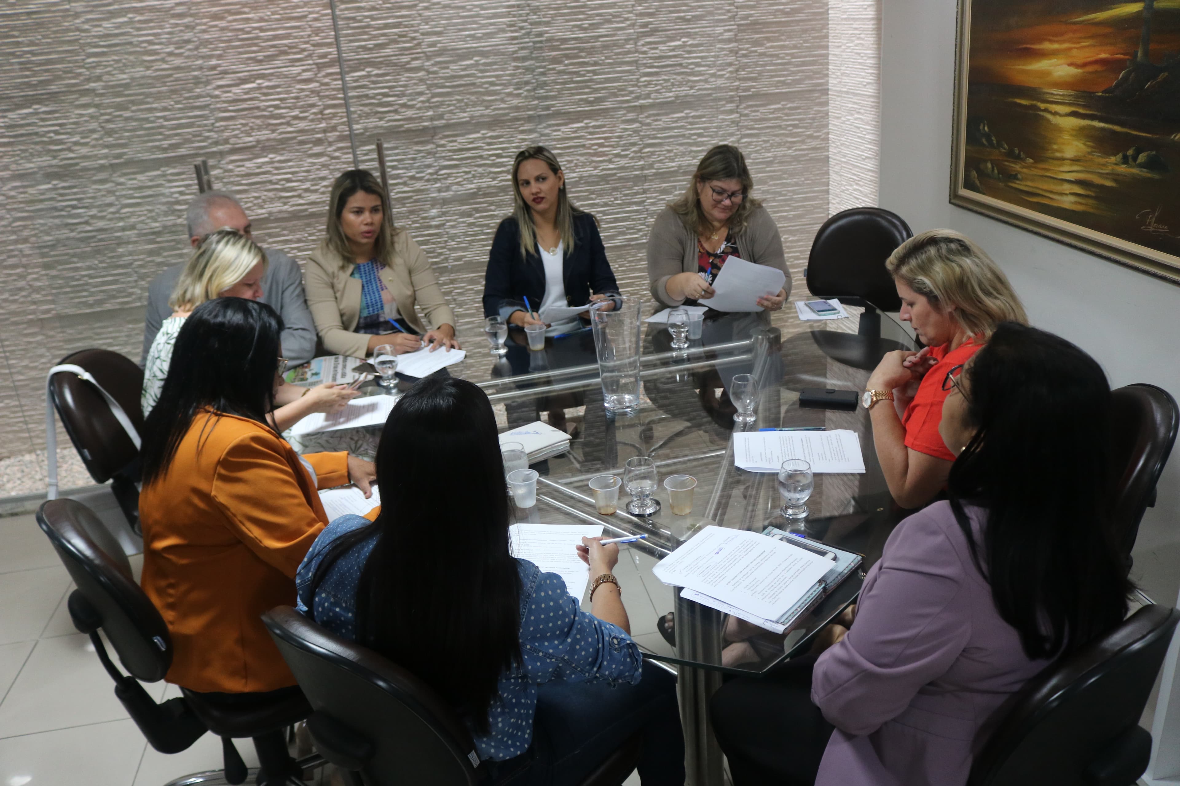 Câmara Municipal de Parnamirim define programação com foco ao combate à violência contra mulher