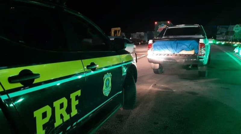 Carga ilegal de Lagosta é apreendida na BR 101, na Grande Natal