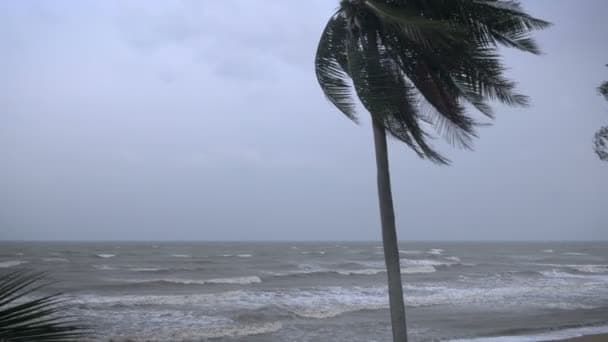 Nova previsão alerta para ventos de até 60 km/h em todo o litoral do RN na quarta e quinta-feira