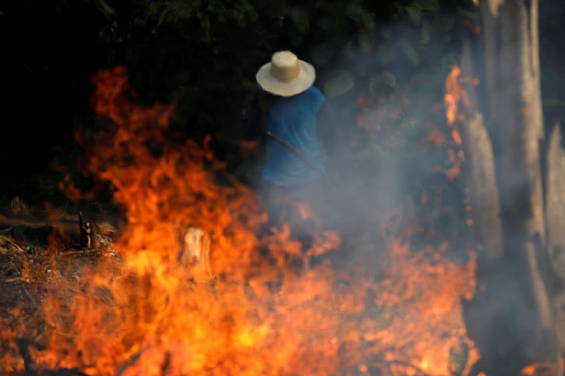 O CLIMA E UM DRAMA MUNDIAL: Portugal prorroga período crítico de incêndios em florestas; mais de 41.006 hectares destruídos