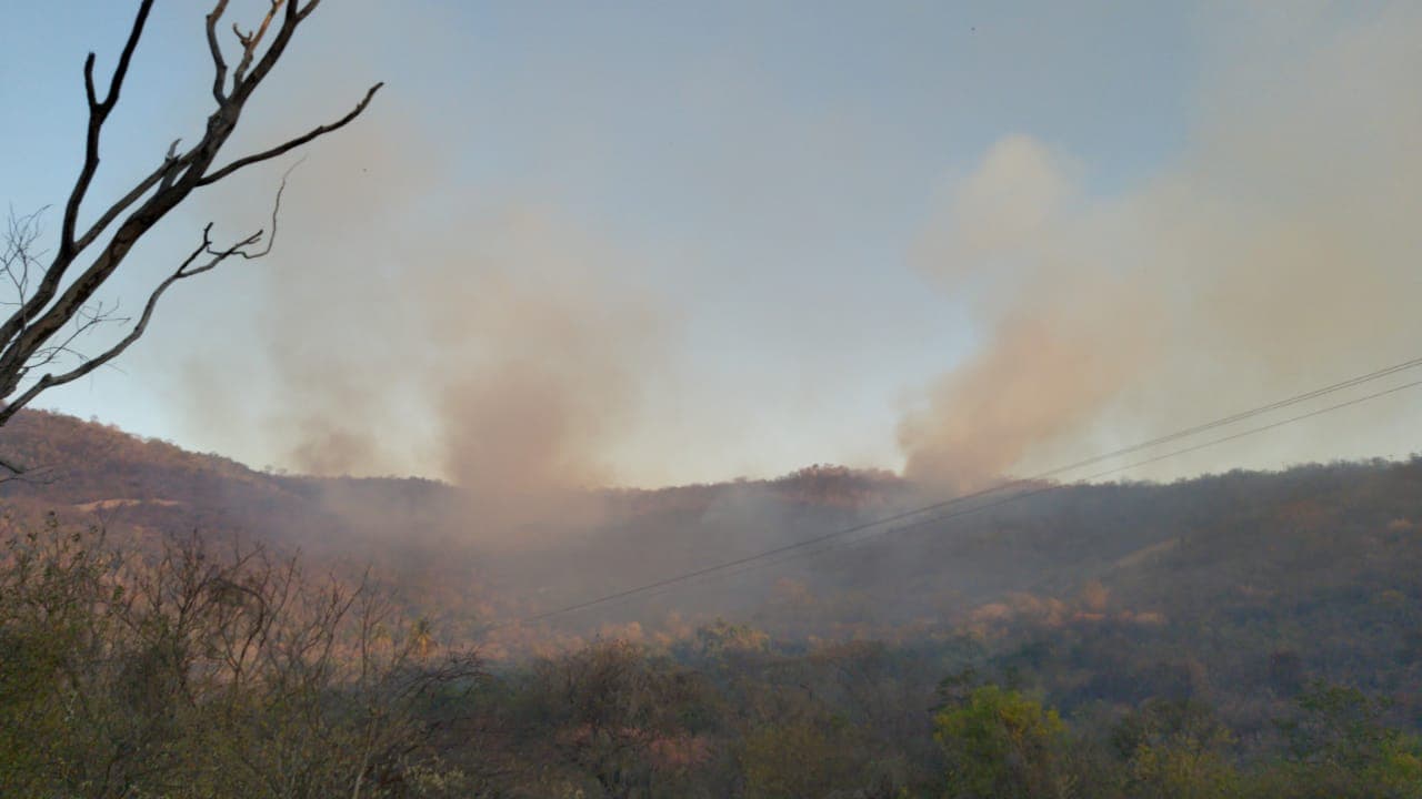 FOTOS: Corpo de Bombeiros combate incêndio em Patu e Currais Novos