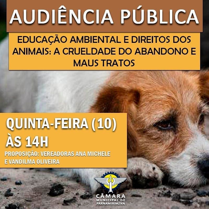 Câmara Municipal de Parnamirim promove audiência pública sobre Direitos dos Animais nesta quinta-feira