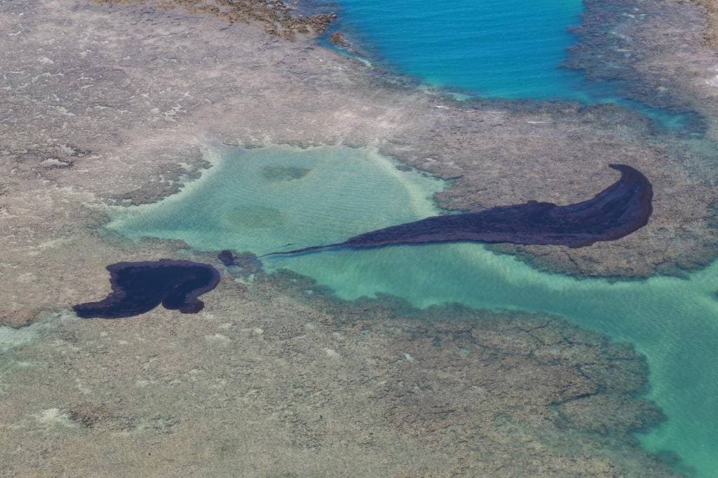 IMAGEM IMPRESSIONA: Grande mancha de óleo é retirada do mar antes de atingir praia pernambucana