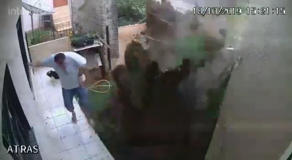 VÍDEO: ‘Não tem mais barata, acabou', comemora vizinha de homem que explodiu o quintal ao tentar matar insetos