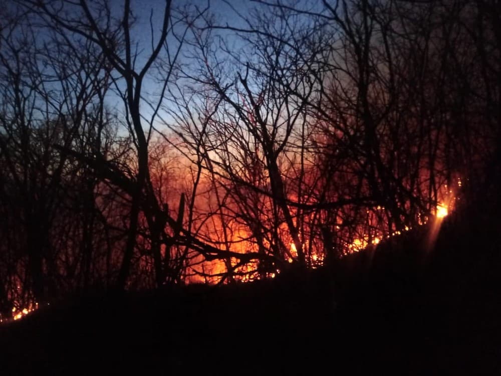 Corpo de Bombeiros do RN registra aumento de 31% em incêndios ambientais em Natal e interior