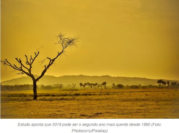 Estudo indica que 2019 pode terminar como o 2º ano mais quente desde 1880