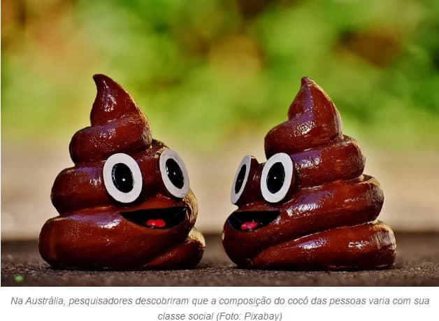 A composição do seu cocô depende da sua classe social, mostra estudo