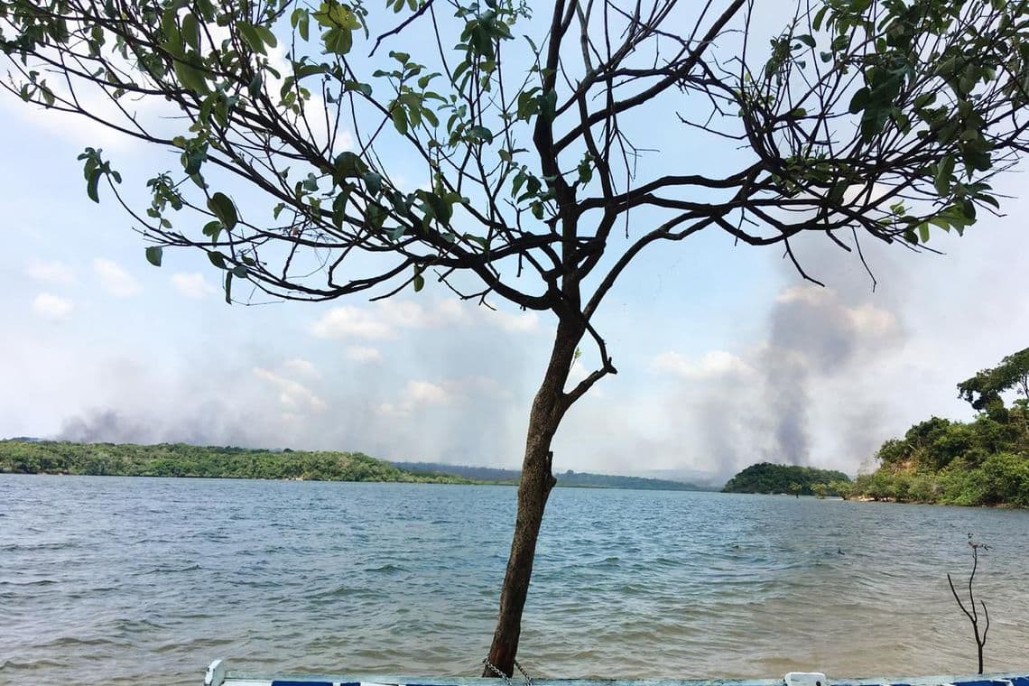 Polícia Civil aponta indícios que ONGs tenham atuado em incêndios devastadores em Alter do Chão, no Pará; suspeitos são presos e documentos apreendidos
