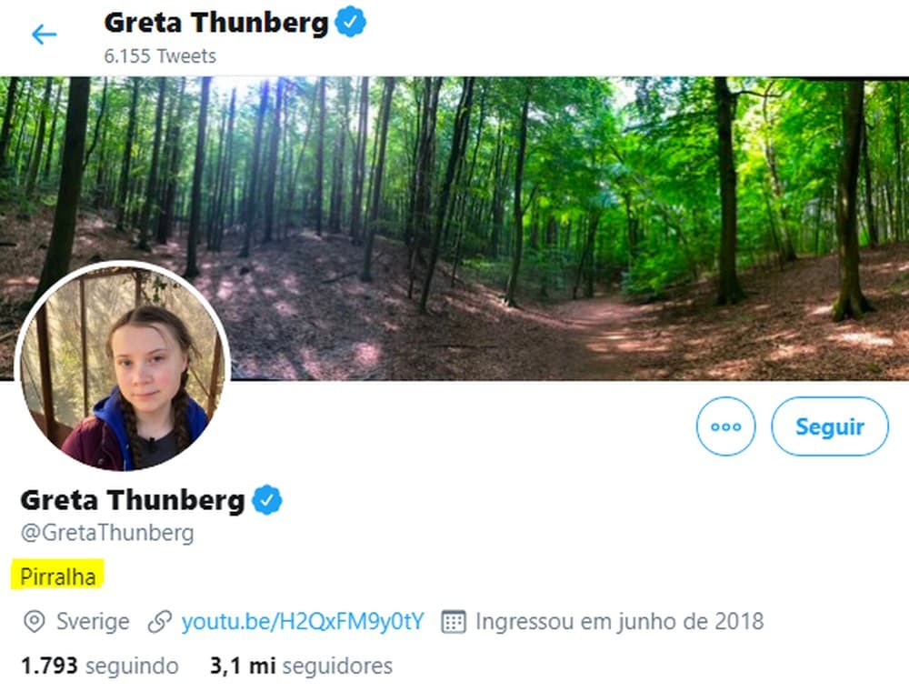 ‘Pirralha’ Greta Thunberg responde à provocação de Bolsonaro com sacada irônica