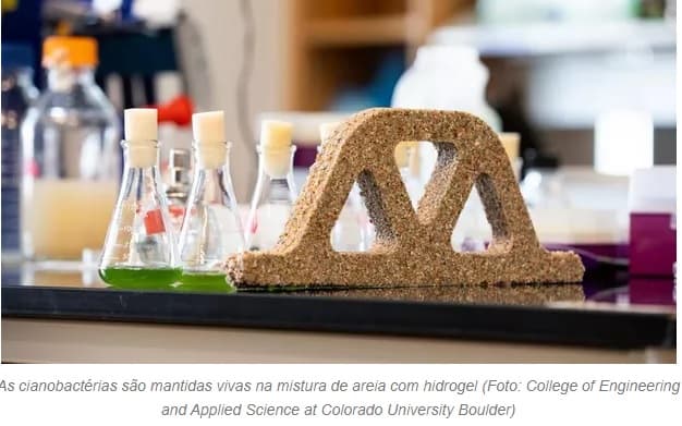 Cientistas criam ‘cimento vivo' que se reproduz e limpa o ar