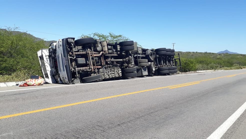 FOTO: Enxame de abelhas invade cabine, motorista perde controle e vira caminhão na BR-304, no interior potiguar